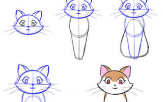 Как нарисовать кошку которая. Как нарисовать кошку карандашом поэтапно