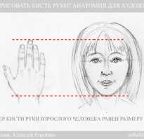 Как нарисовать пальцы рук поэтапно. Учимся рисовать руку человека